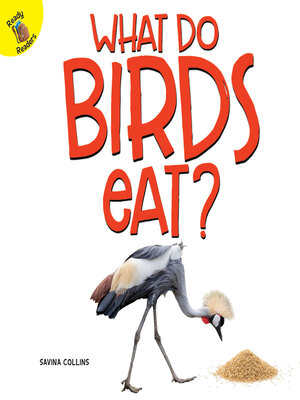 cover image of What Do Birds Eat?